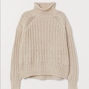 NWT H&M Ribbed Turtleneck Sweater
